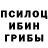 Псилоцибиновые грибы Psilocybine cubensis Indiaboi93