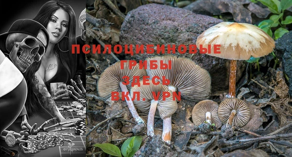 мяу мяу мука Нефтекумск